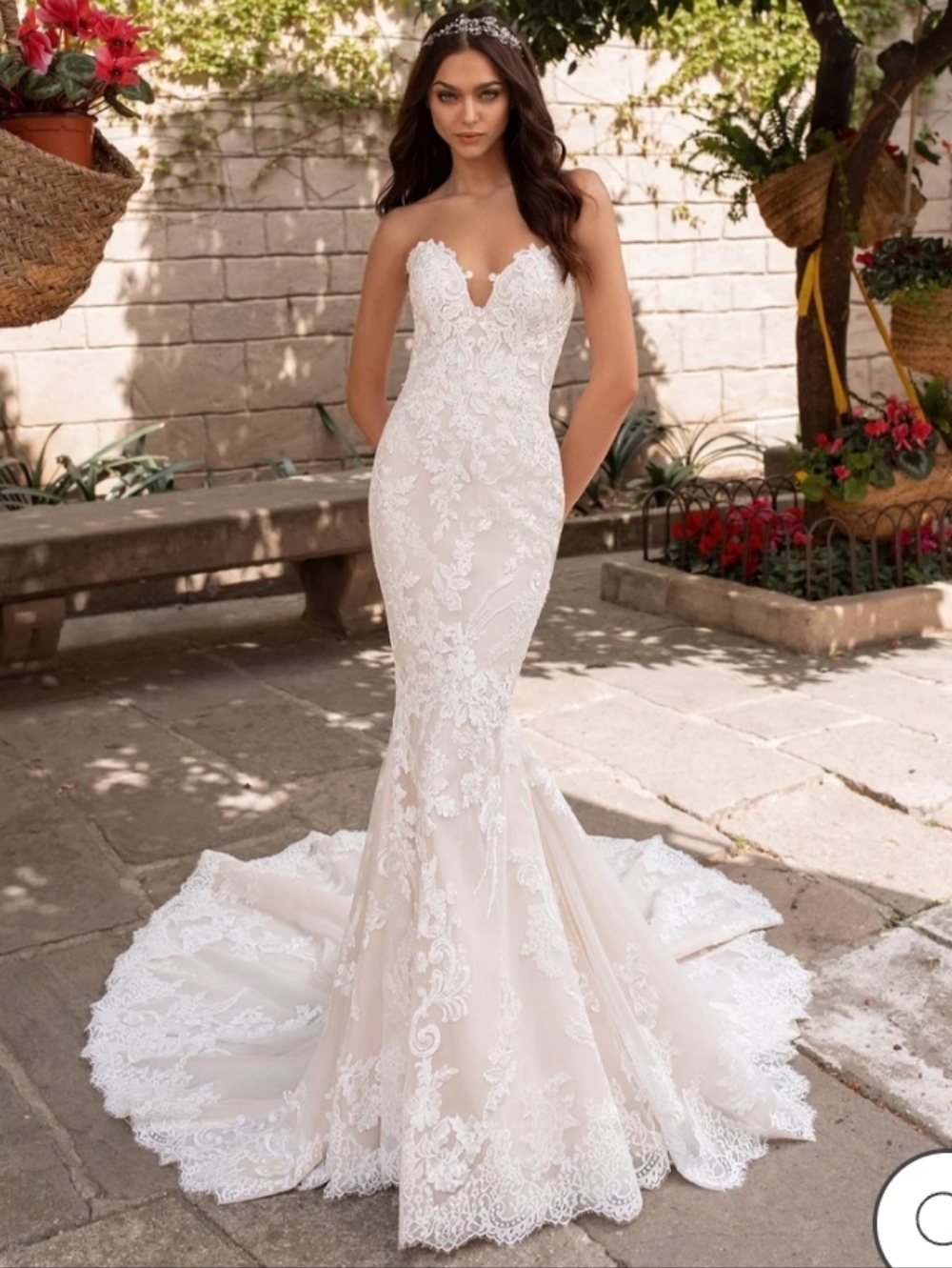 Nwt Pronovias Ivory Wedding Dress 18 $2500